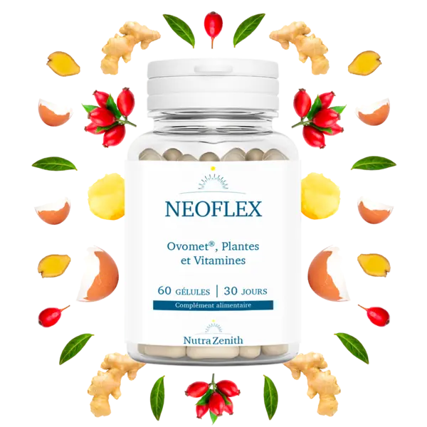 NEOFLEX gélules