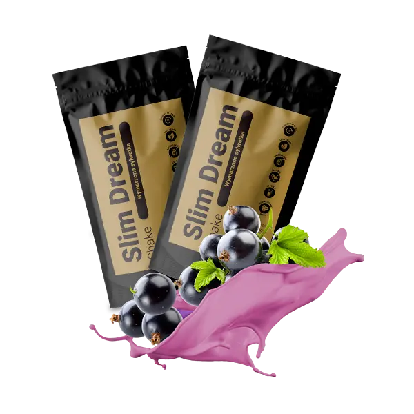 Slim Dream Shake poudre